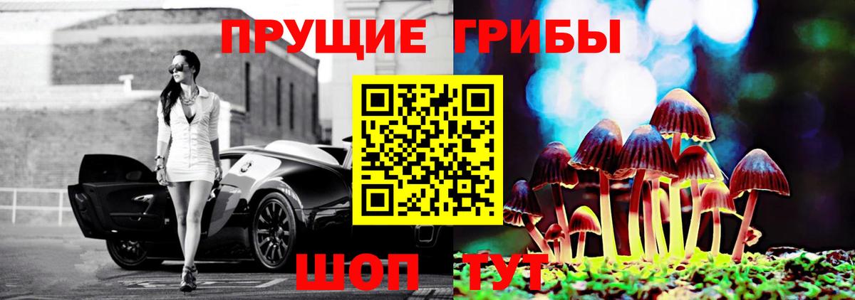 Магадан  Галлюциногенные грибы MAGIC MUSHROOMS  Вход с VPN 