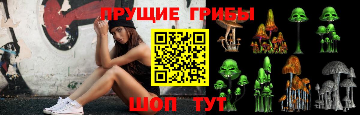 Галлюциногенные грибы мухоморы Магадан